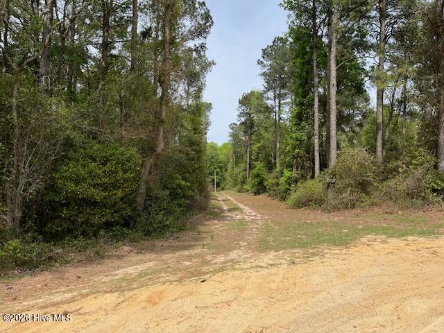 408 Guy Sanderson Road Albertson, NC 28508 - Photo 22 of 23 IMG_0308