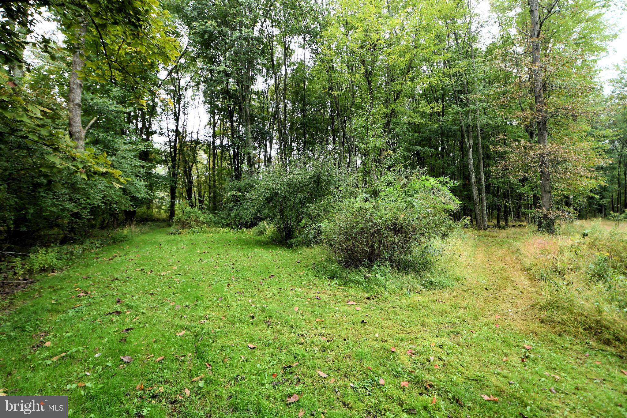 52 Newville Road Chalfont, PA 18914 - Photo 88 of 94 Gallery Image 88