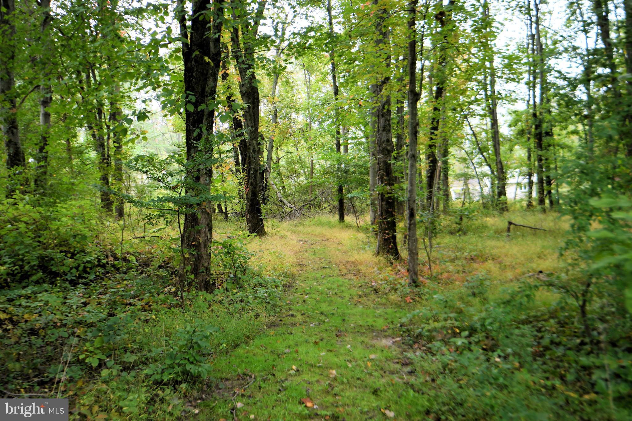 52 Newville Road Chalfont, PA 18914 - Photo 91 of 94 Gallery Image 91
