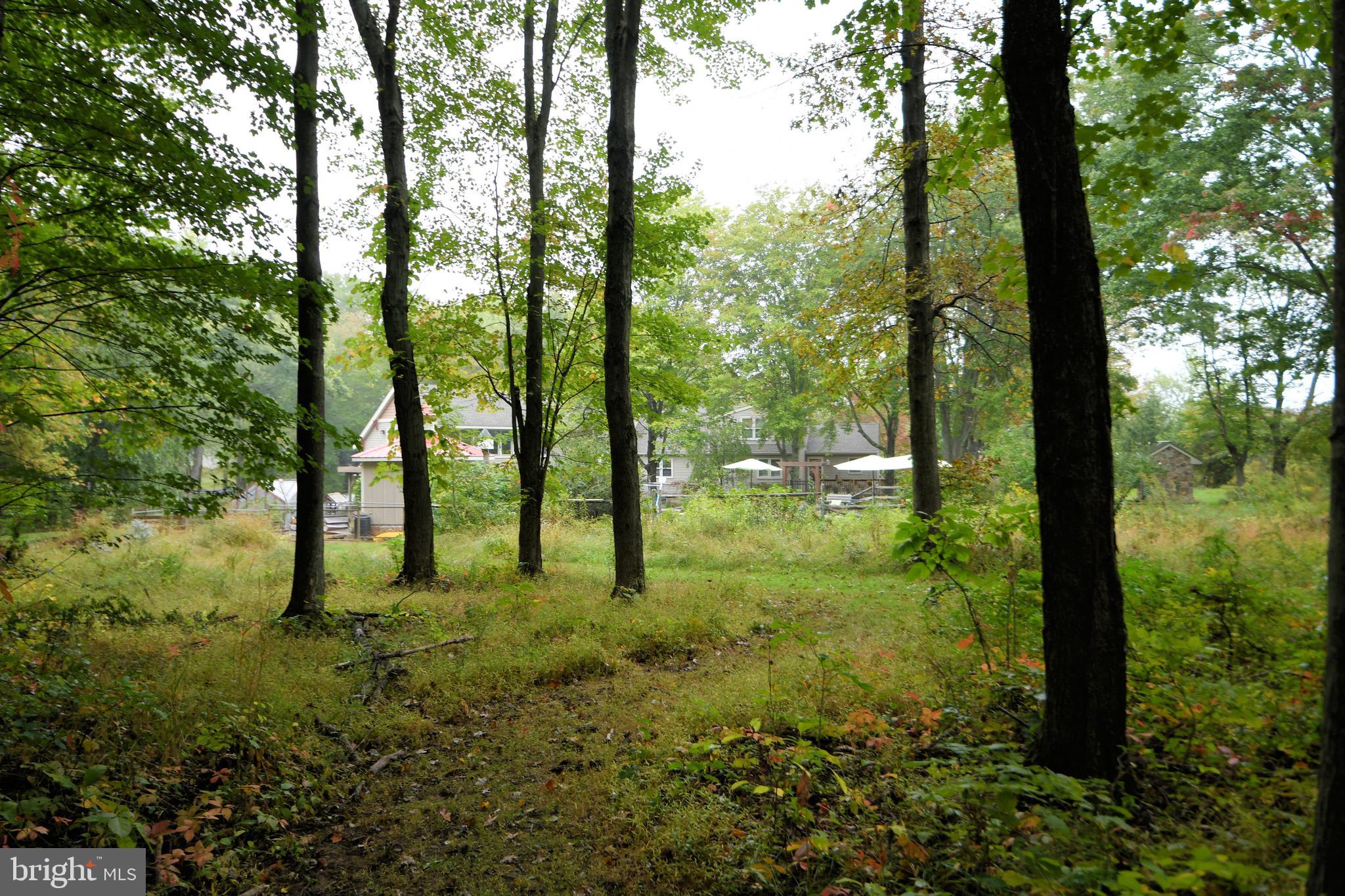 52 Newville Road Chalfont, PA 18914 - Photo 94 of 94 Gallery Image 94