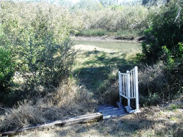 a view of a field with a tree