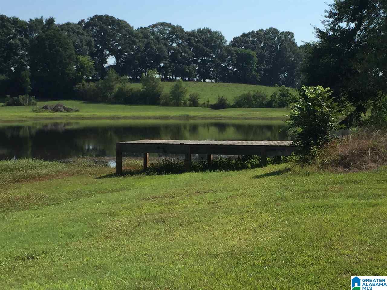 366 Parker Road Cropwell, AL 35054 - Photo 17 of 46