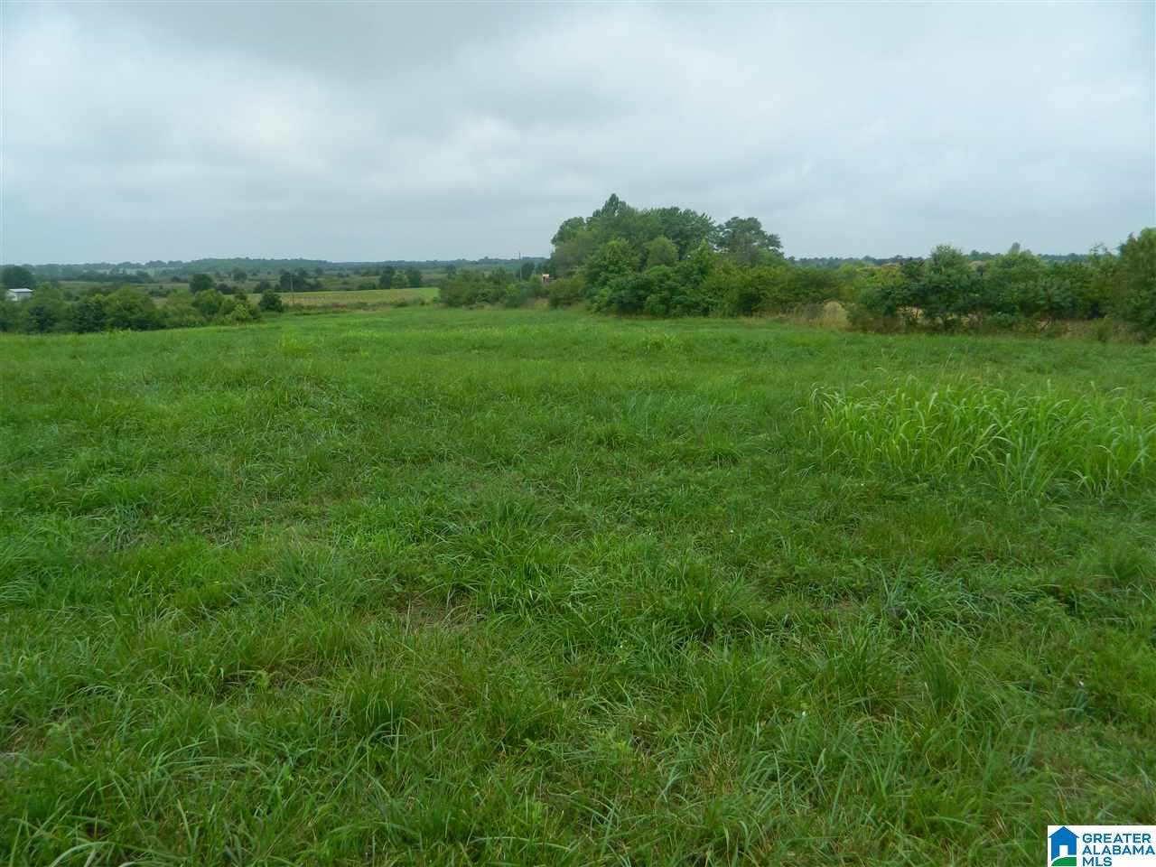 0 County Road 76 Cullman, AL 35057 - Photo 9 of 14