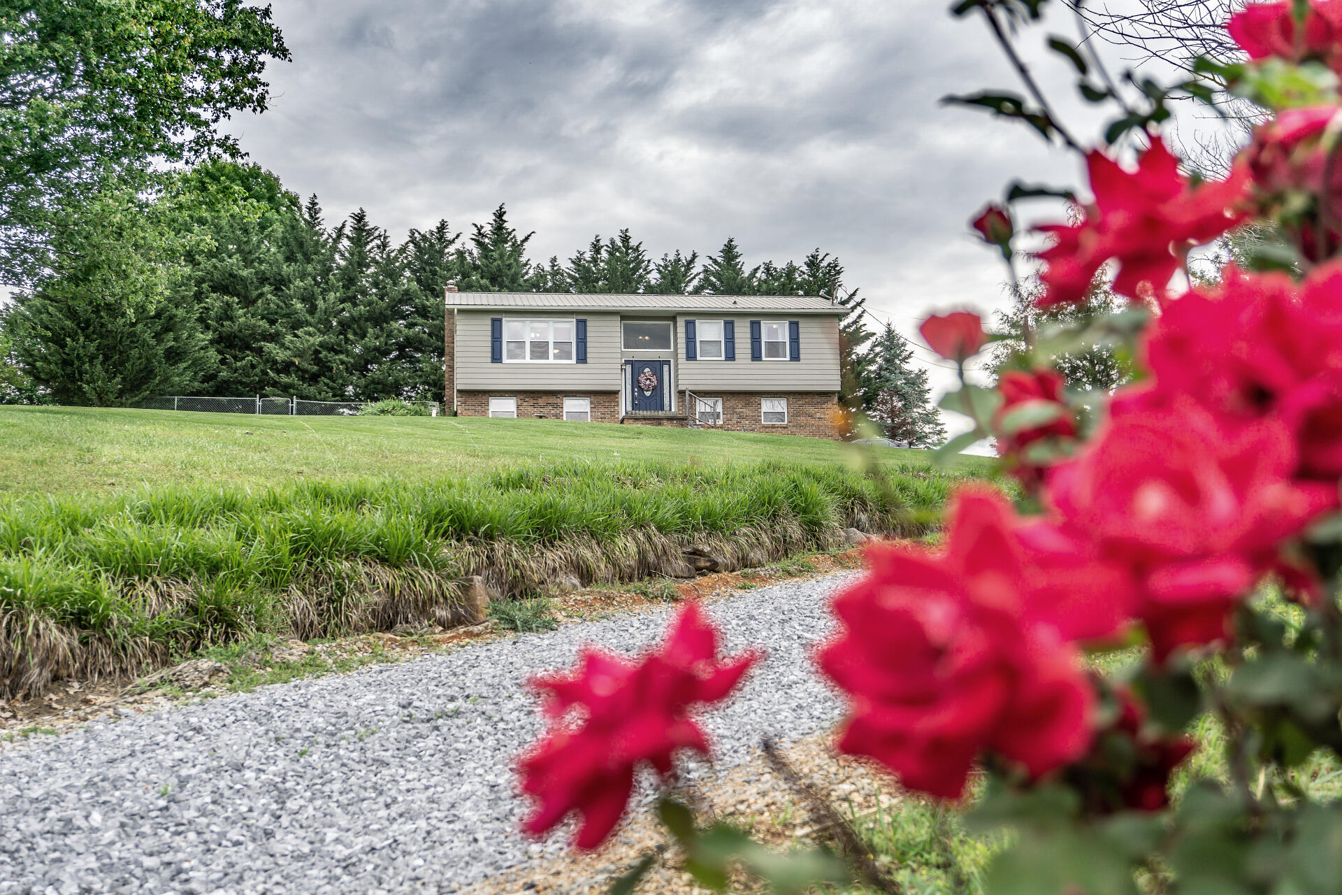 895 Old Snapps Ferry Road Chuckey, TN 37641 - Photo 60 of 77 895OldSnapp_023