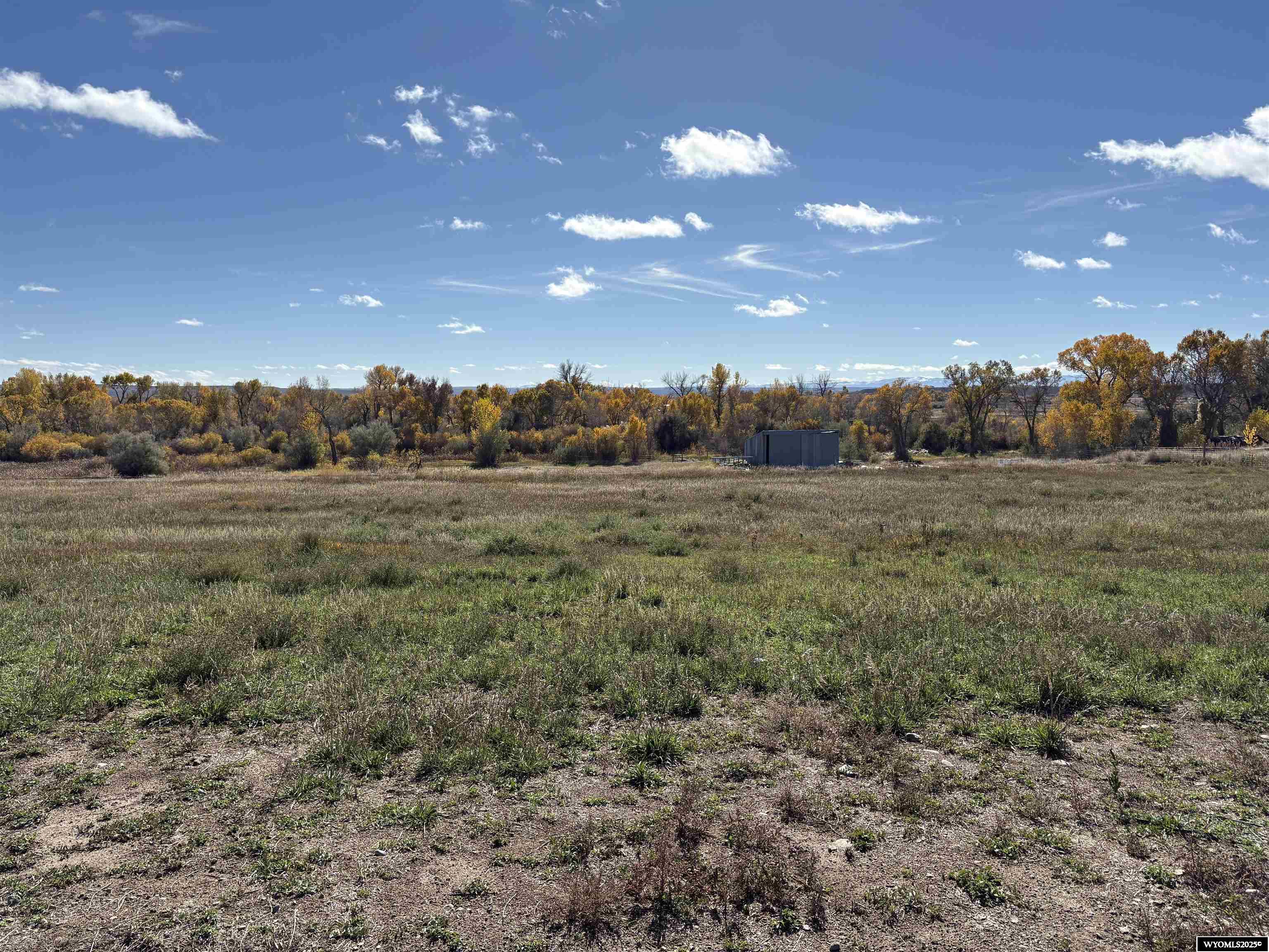 1055 Rein Road Riverton, WY 82501 - Photo 34 of 35