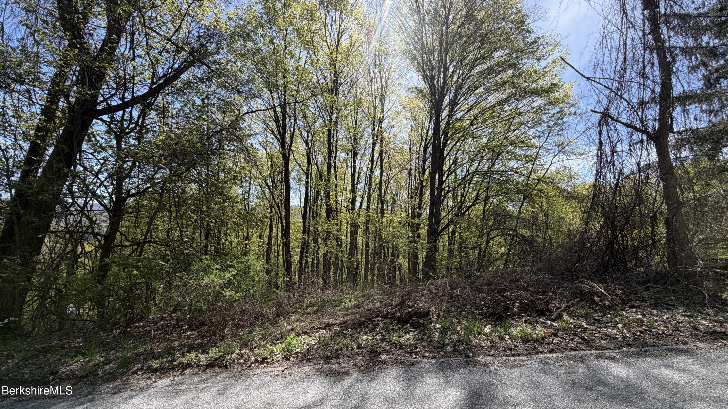 Lots 2-a&3a Reservoir Road North Adams, MA 01247 - Photo 5 of 5 roads edge