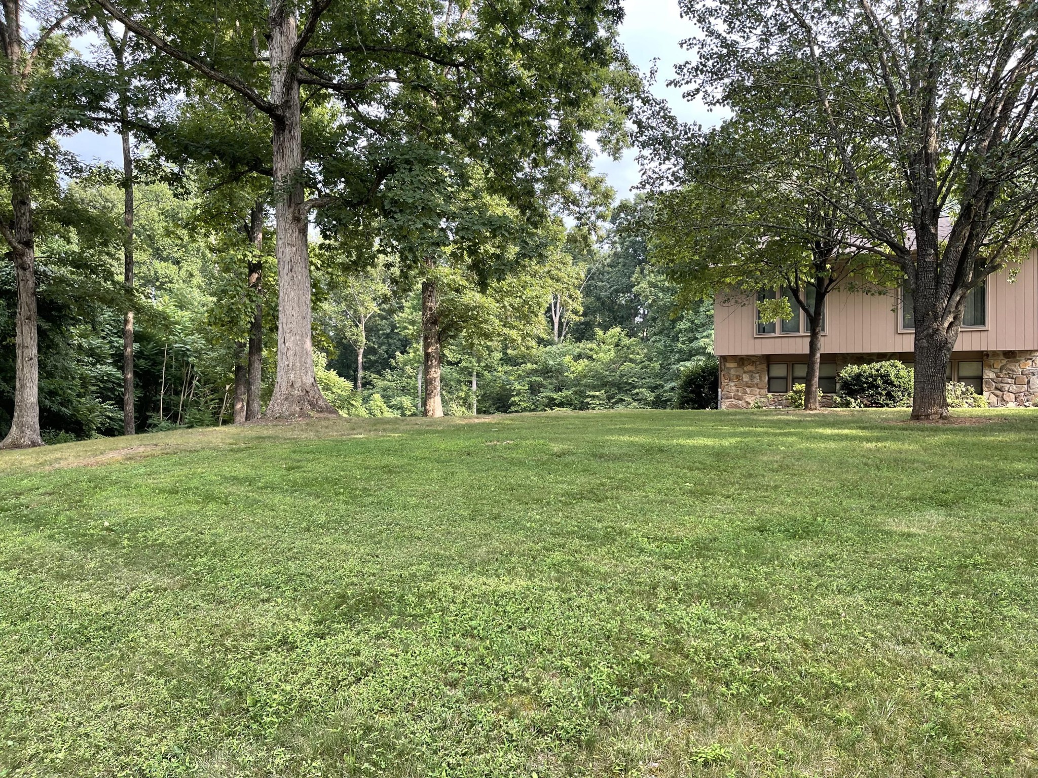 1616 Golf Course Road Newport, TN 37821 - Photo 2 of 38 a view of a trees in a yard