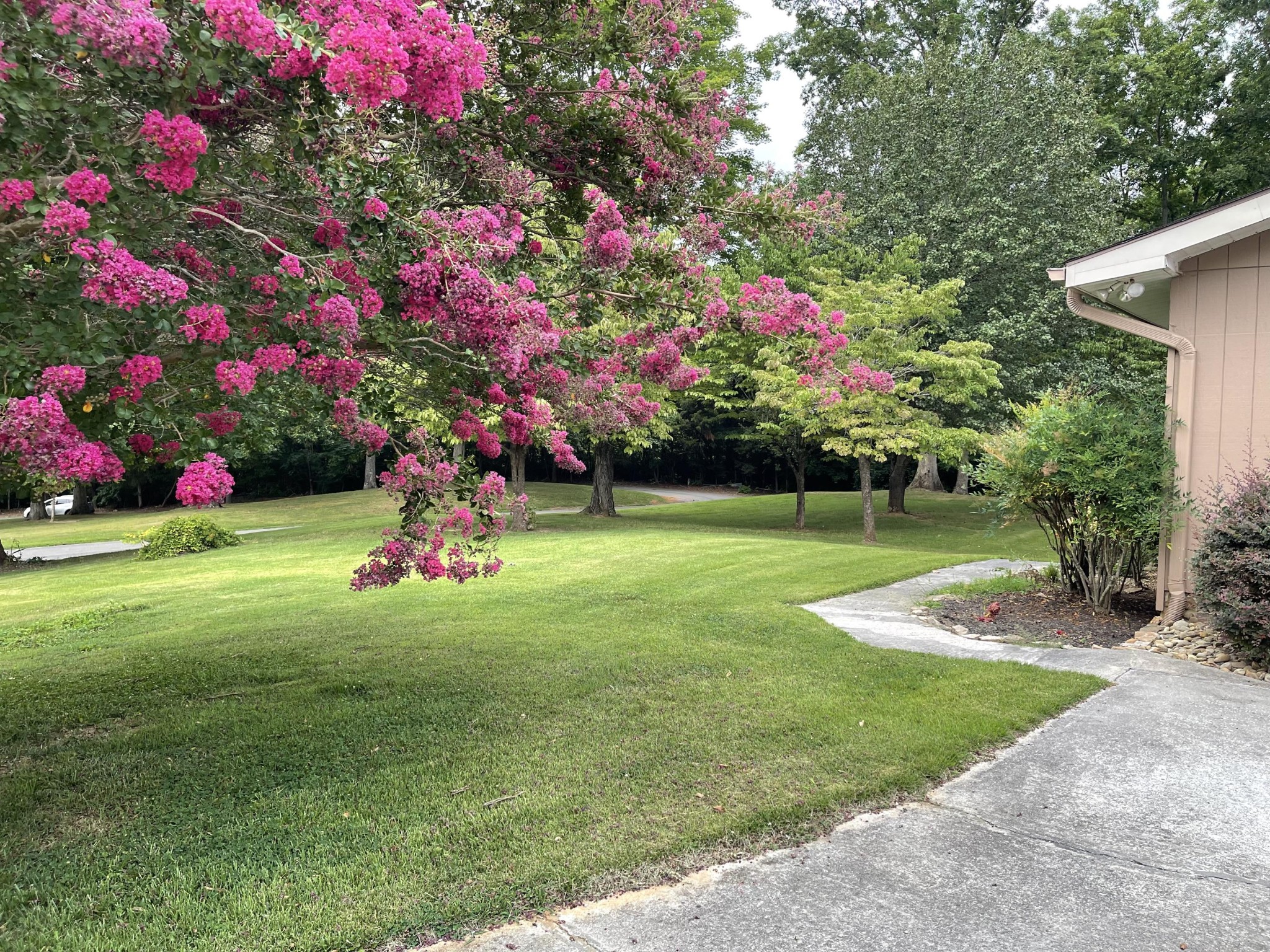 1616 Golf Course Road Newport, TN 37821 - Photo 27 of 38 a view of a house with a big yard and potted plants