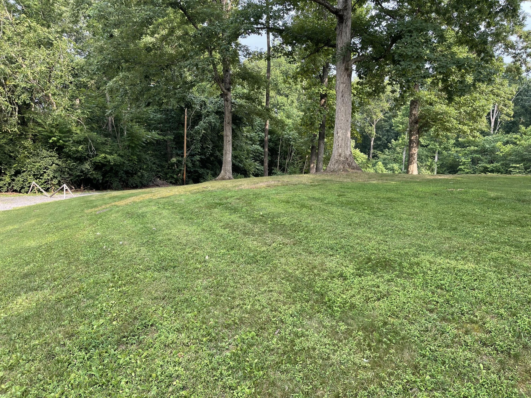 1616 Golf Course Road Newport, TN 37821 - Photo 3 of 38 a view of outdoor space with trees all around