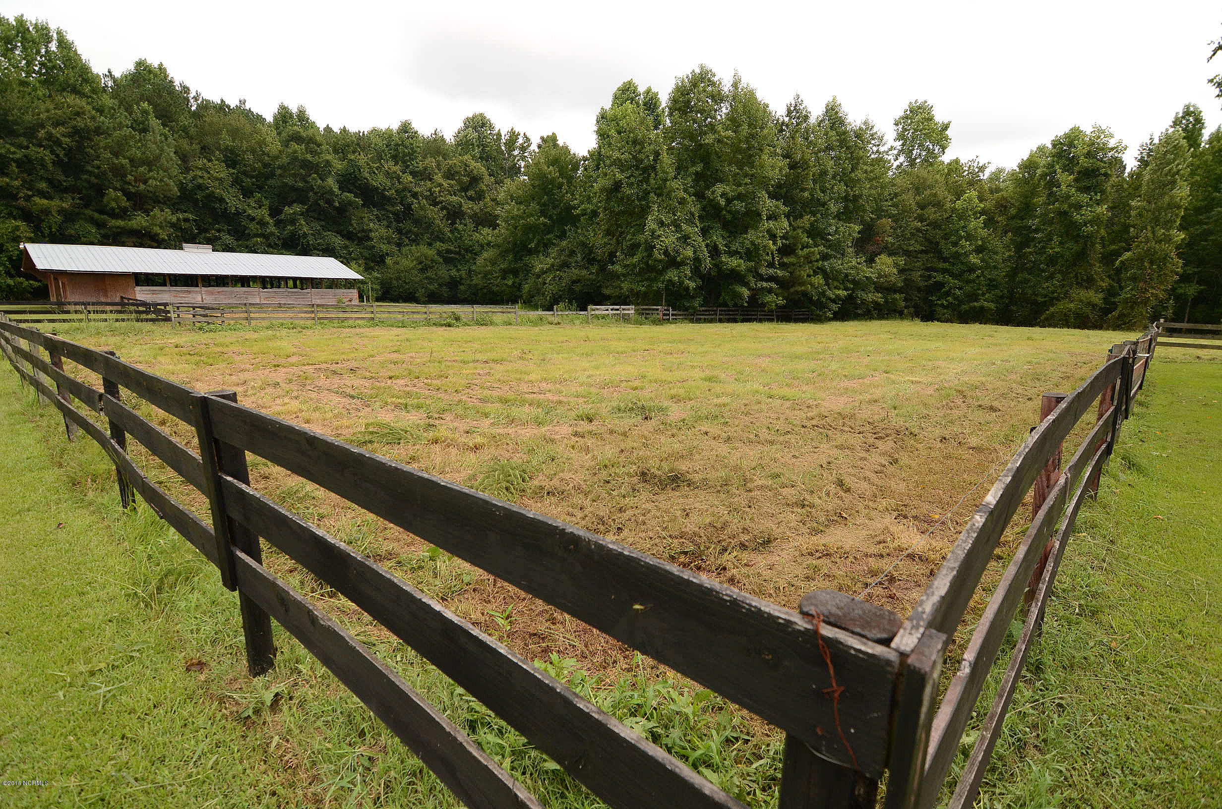 5759 Glory Road Wilson, NC 27893 - Photo 16 of 16 Pasture