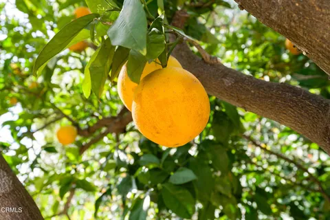 $850,000 | 267 Delaware Drive, Ventura, CA 93001