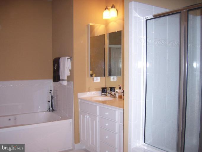 2533 Mill Race Road Frederick, MD 21701 - Photo 8 of 13 Master Bath