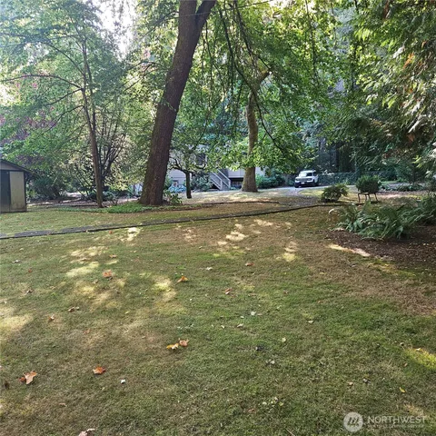a view of a yard with plants and large trees