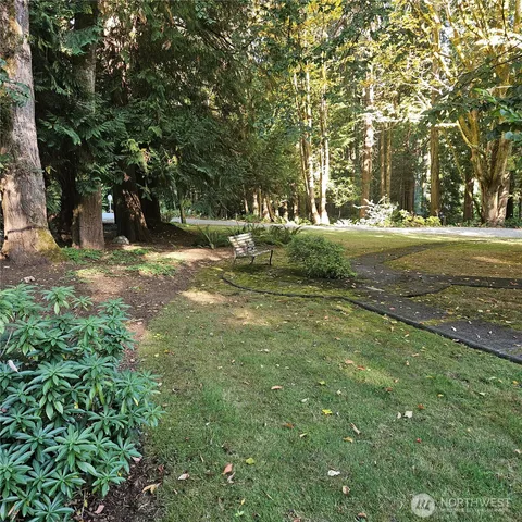 a view of a trees with a yard