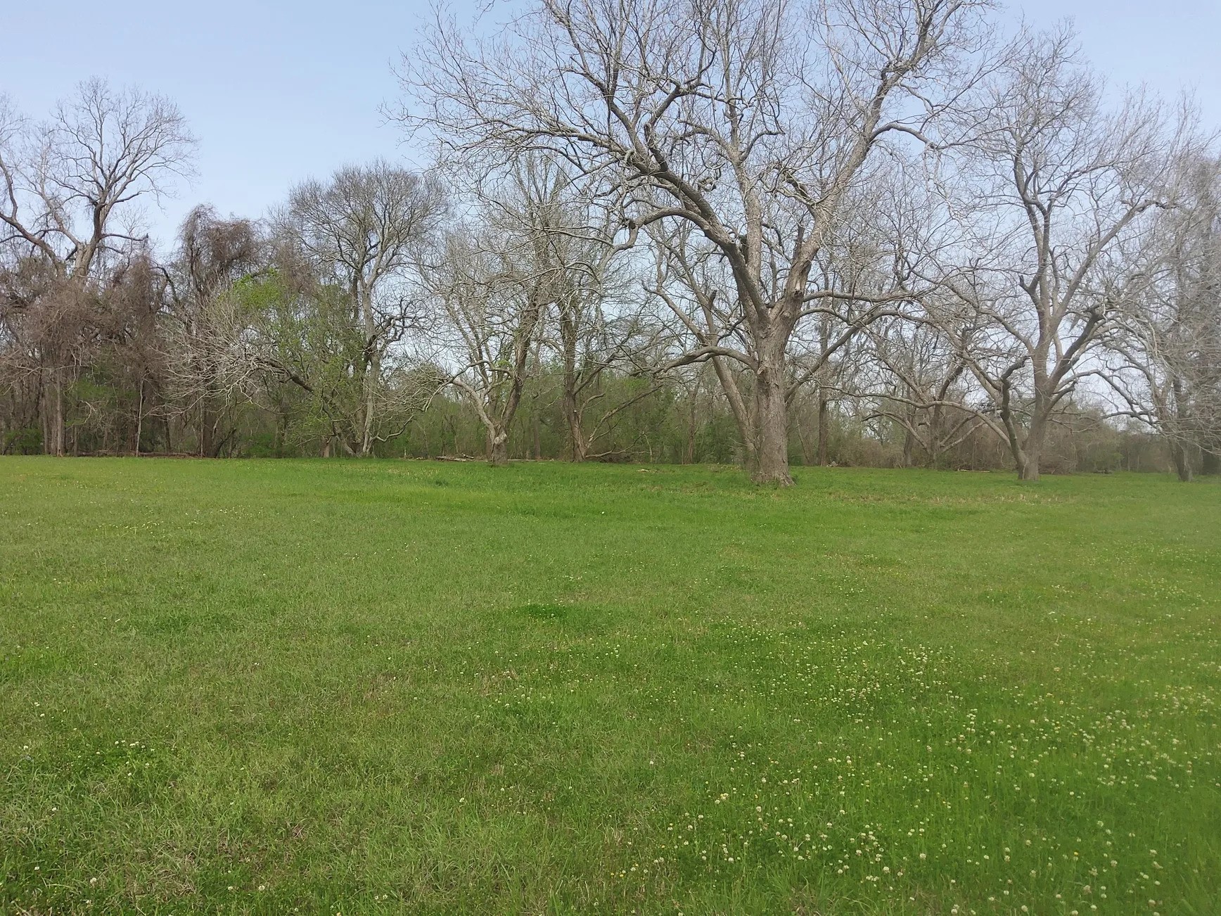 Lot 1 FM 521 Road Angleton, TX 77515 - Photo 10 of 34