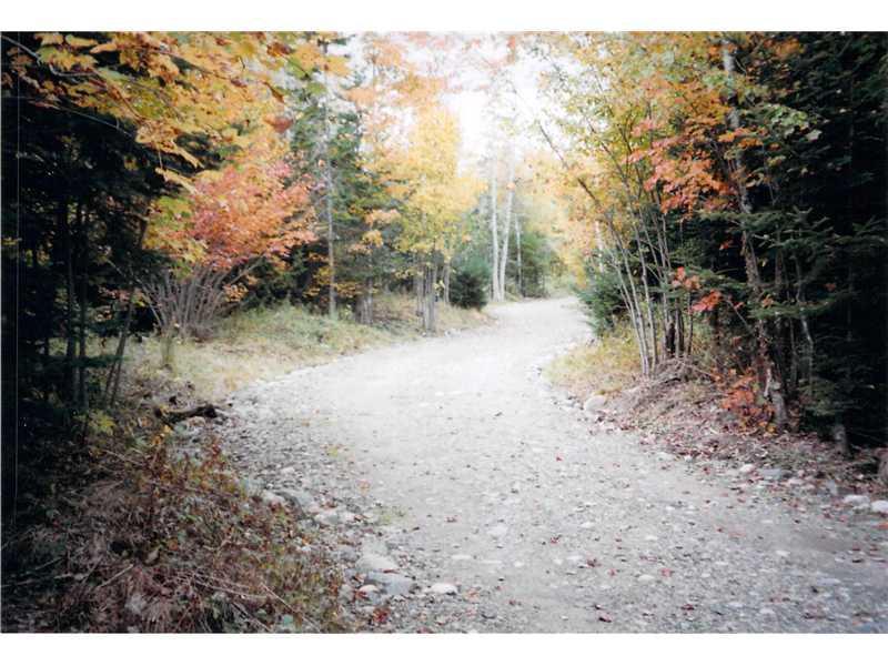 Xx Golding Road Perry, ME 04667 - Photo 15 of 24 Land/Lot. Scenic driveway