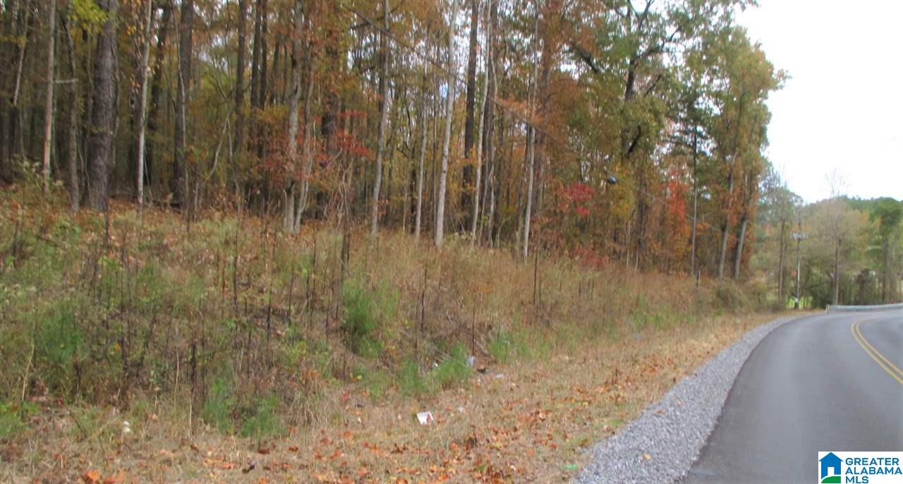 36 Highway Oneonta Al Oneonta, AL 35121 - Photo 3 of 4