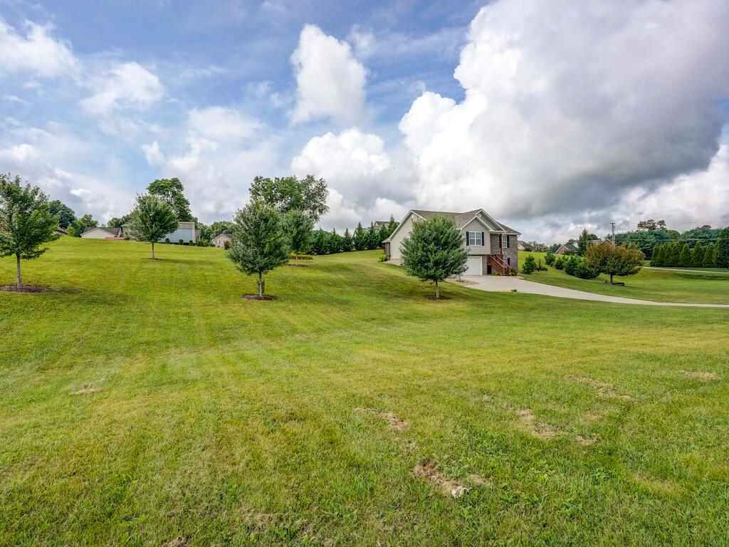 1005 Allison Rd MLS003