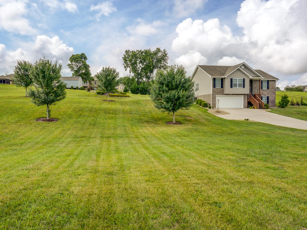 1005 Allison Rd MLS005