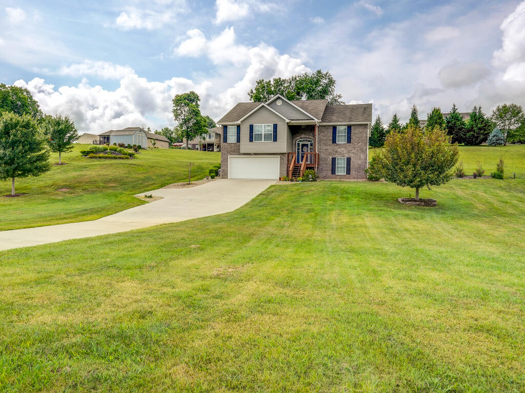 1005 Allison Rd MLS006