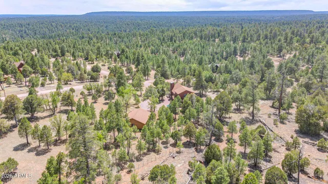 $669,000 | 4089 Morning View Drive, Happy Jack, AZ 86024
