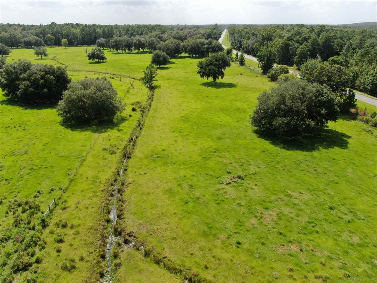 1989 Tram Road Monticello, FL 32344 - Photo 11 of 36 Gallery Image 11