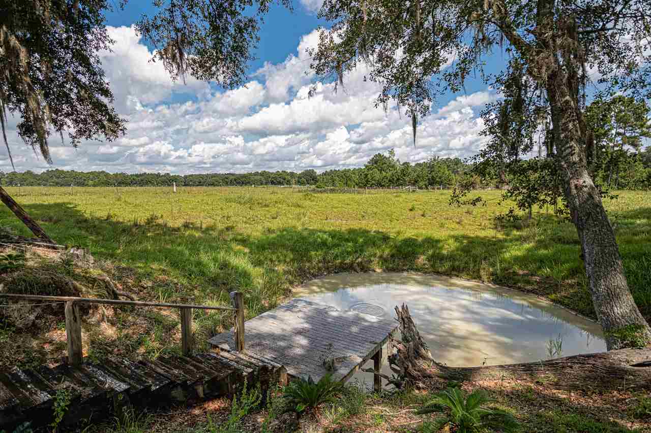 1989 Tram Road Monticello, FL 32344 - Photo 26 of 36 Gallery Image 26
