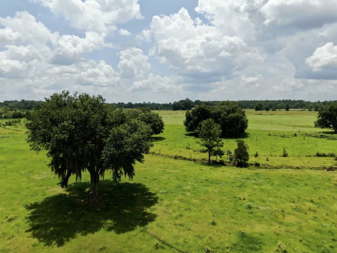 1989 Tram Road Monticello, FL 32344 - Photo 5 of 36 Gallery Image 5