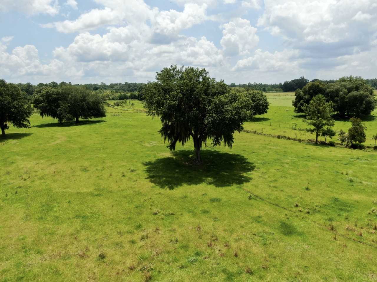 1989 Tram Road Monticello, FL 32344 - Photo 6 of 36 Gallery Image 6