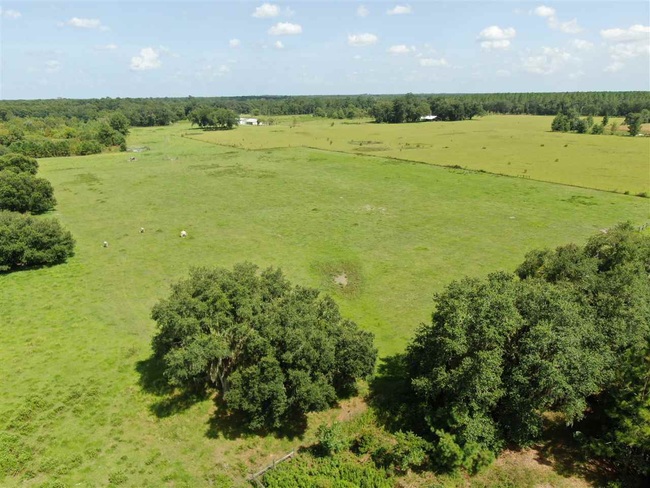 1989 Tram Road Monticello, FL 32344 - Photo 10 of 36 Gallery Image 10