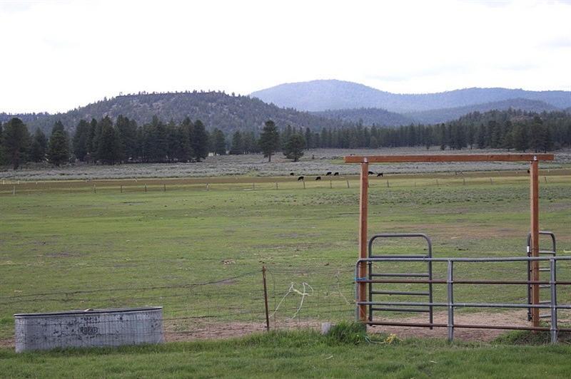 30515 Godowa Springs Road Beatty, OR 97621 - Photo 15 of 23 Additional Photo