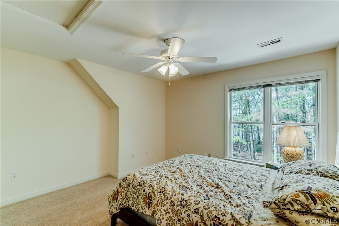 14318 Cove Ridge Place Midlothian, VA 23112 - Photo 20 of 29