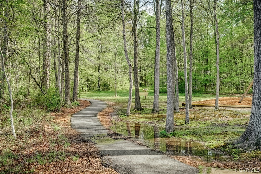 14318 Cove Ridge Place Midlothian, VA 23112 - Photo 29 of 29
