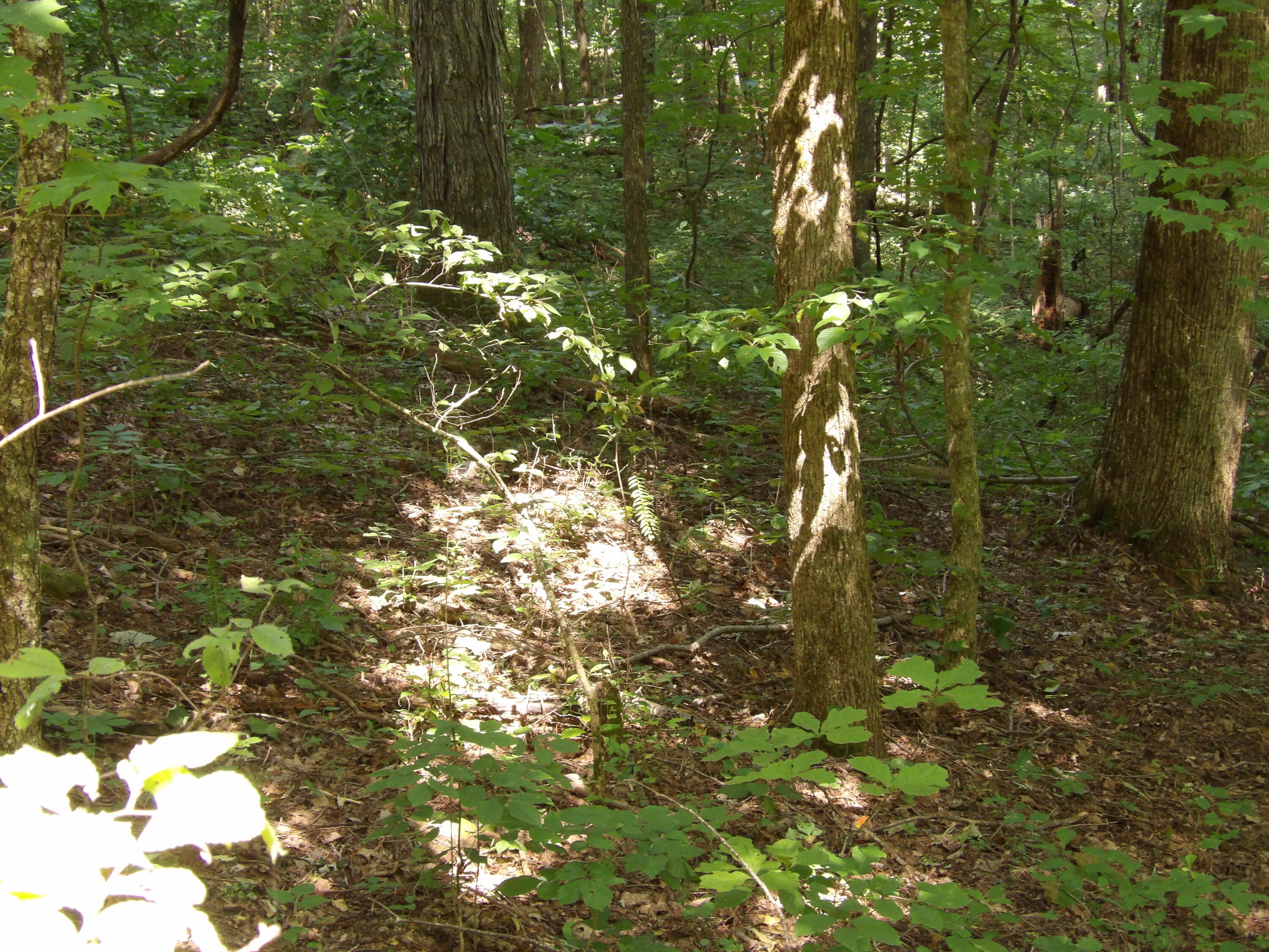 80 Cherokee Ridge Road, Unit 80 Pikeville, TN 37367 - Photo 1 of 12 100_5778