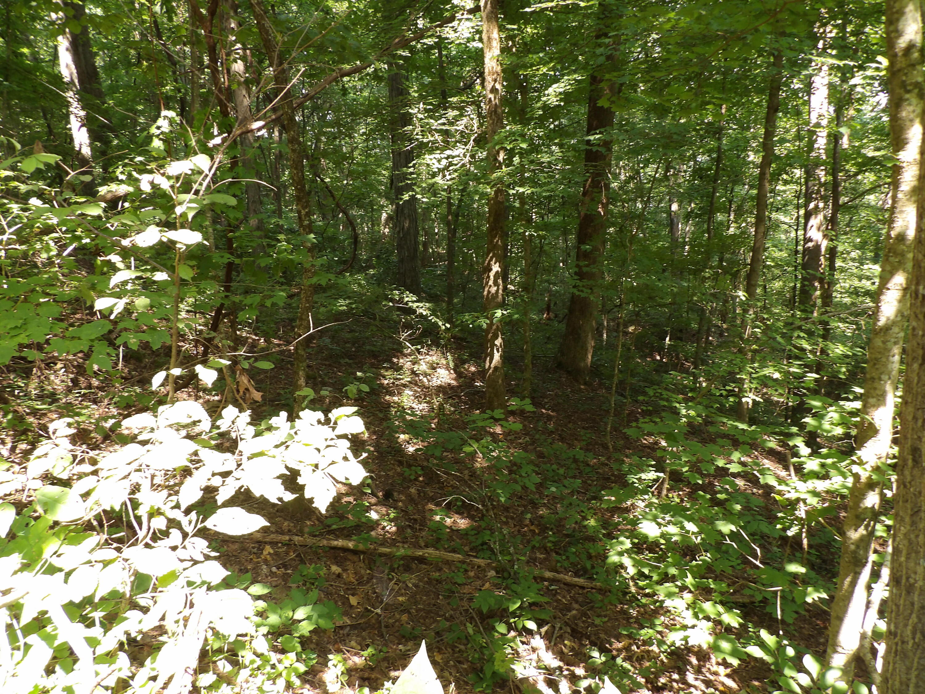80 Cherokee Ridge Road, Unit 80 Pikeville, TN 37367 - Photo 2 of 12 100_5779