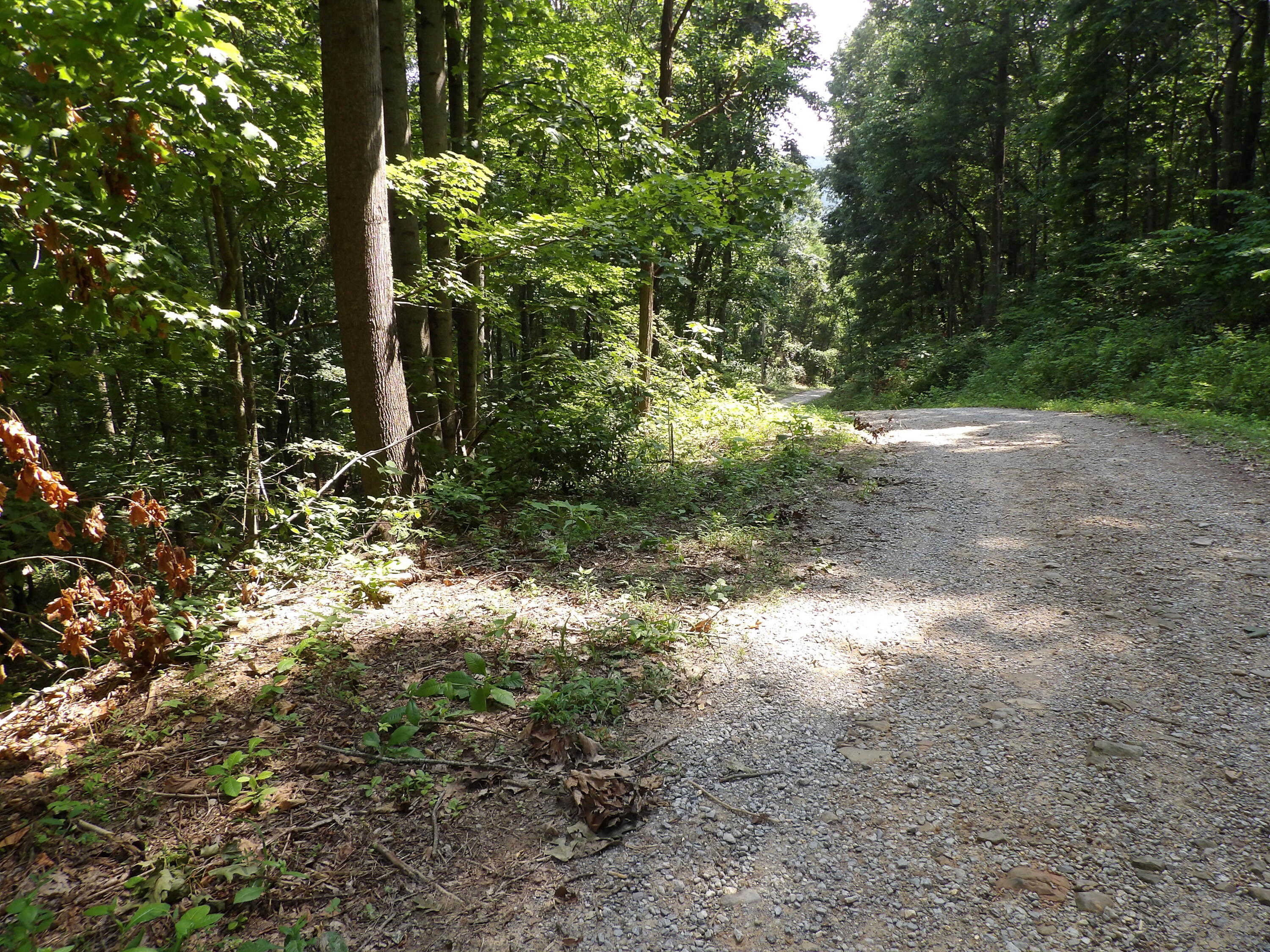 80 Cherokee Ridge Road, Unit 80 Pikeville, TN 37367 - Photo 3 of 12 100_5780
