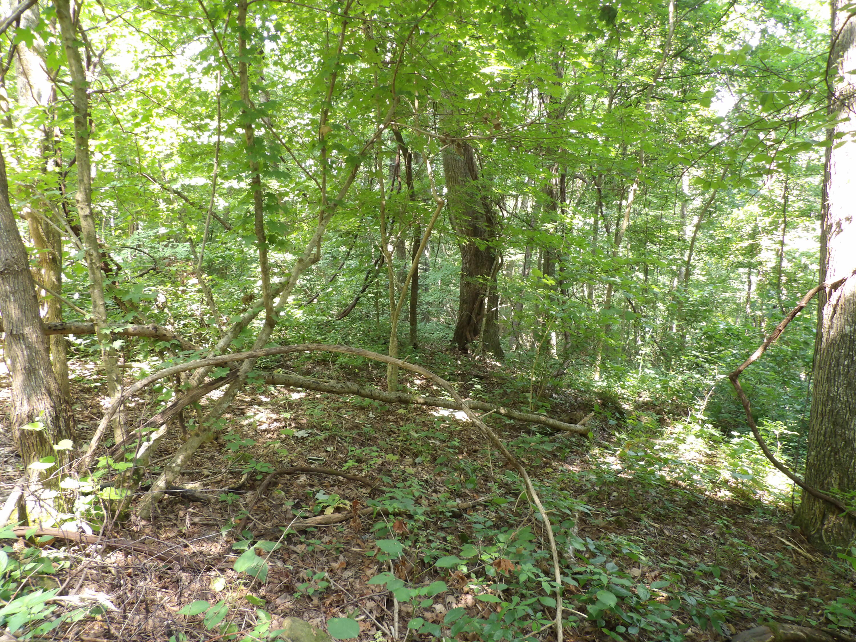 80 Cherokee Ridge Road, Unit 80 Pikeville, TN 37367 - Photo 4 of 12 100_5782