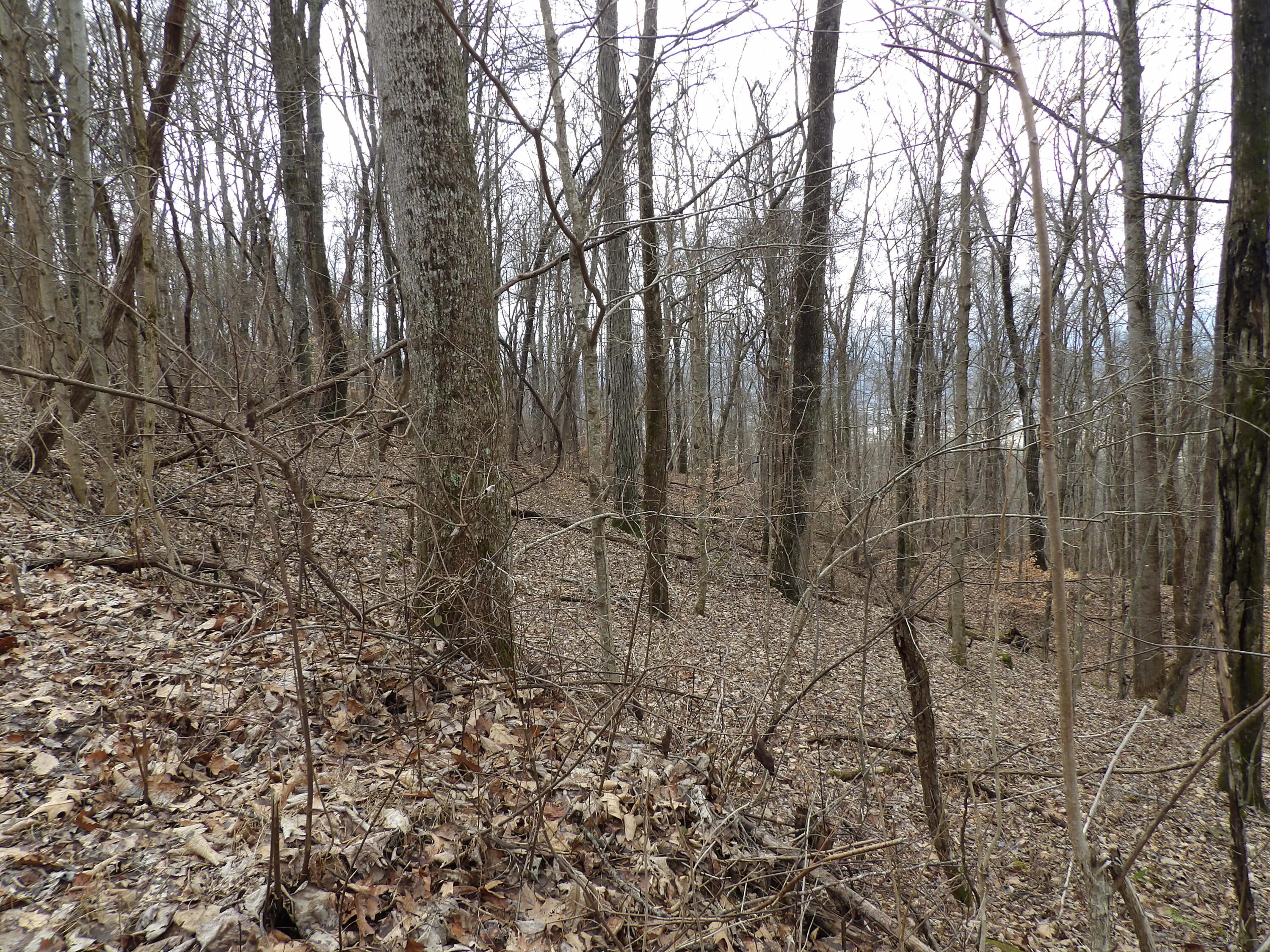 80 Cherokee Ridge Road, Unit 80 Pikeville, TN 37367 - Photo 7 of 12 100_5176