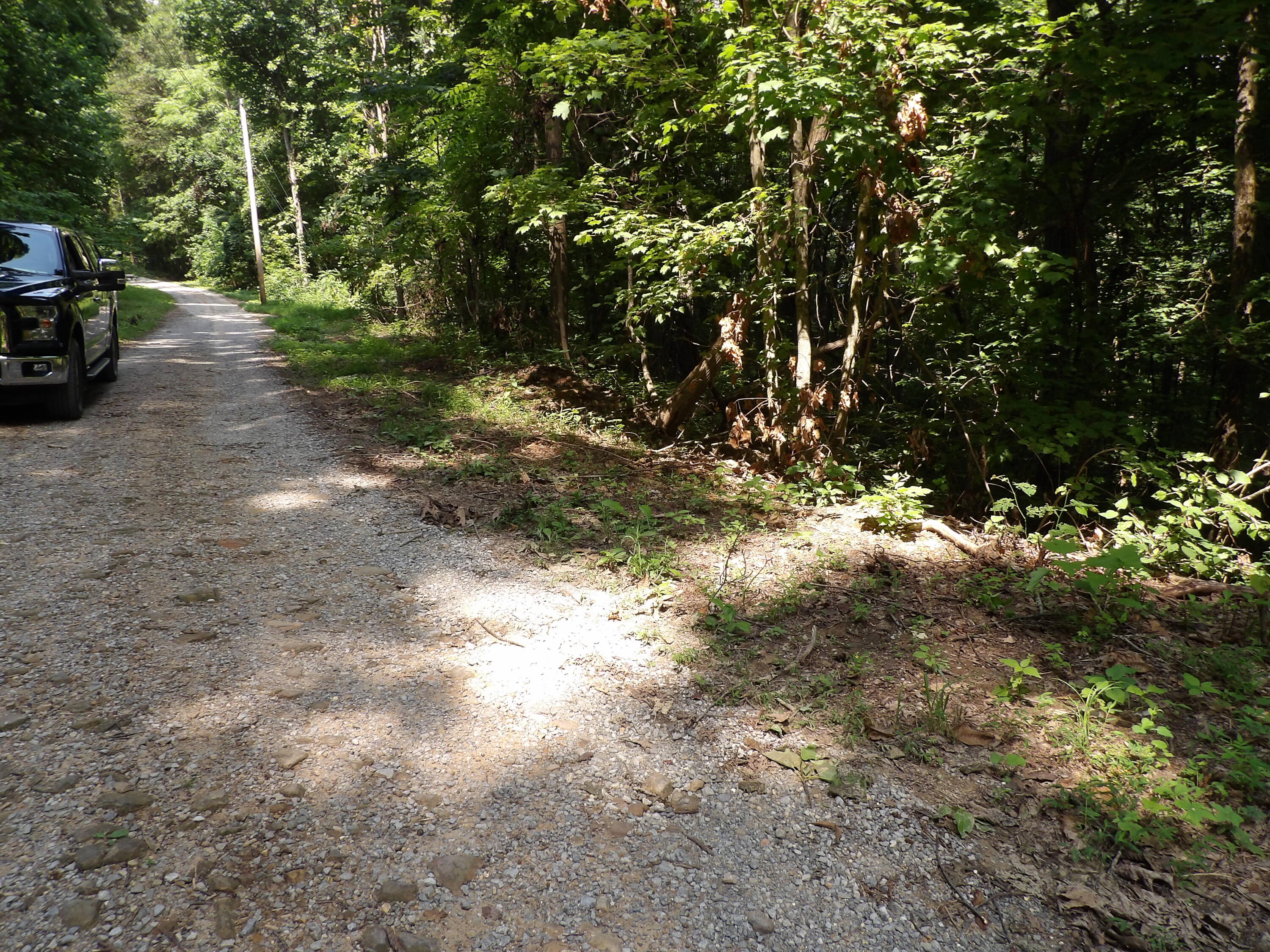 80 Cherokee Ridge Road, Unit 80 Pikeville, TN 37367 - Photo 10 of 12 100_5776
