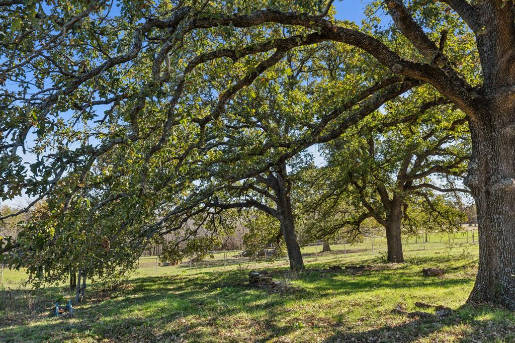 2212 Spring Hill Road Aubrey, TX 76227 - Photo 12 of 36 a view of a yard with a tree