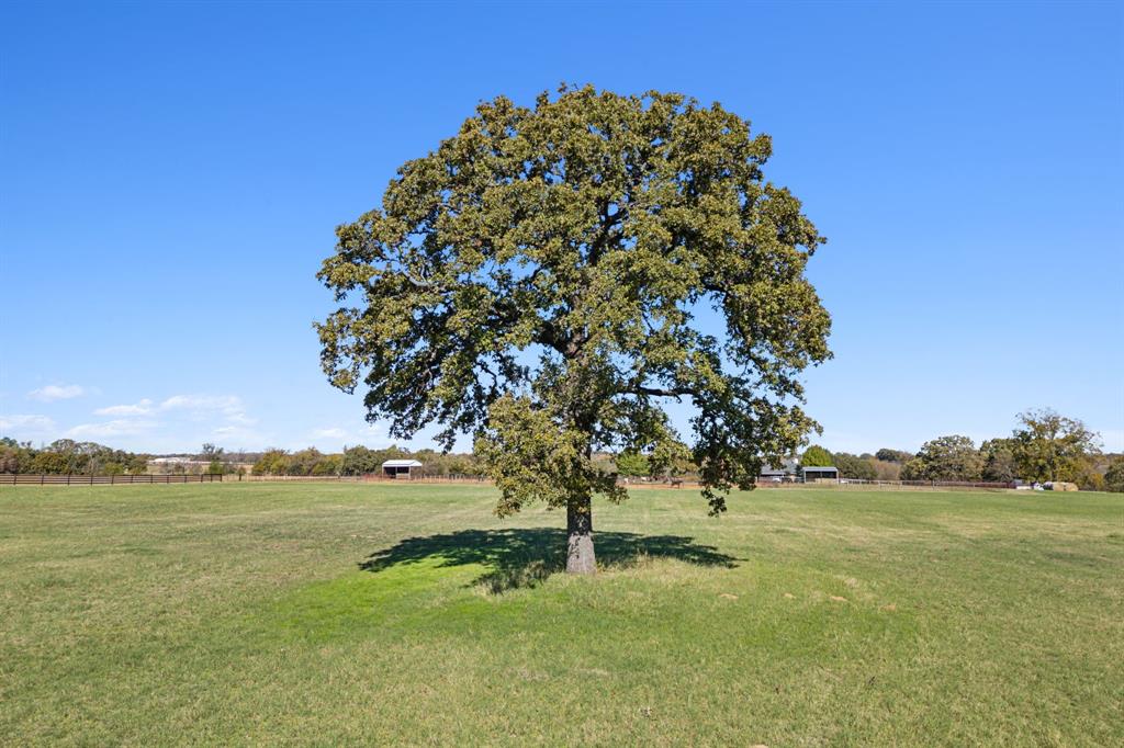 2212 Spring Hill Road Aubrey, TX 76227 - Photo 15 of 36 a view of yard with ocean view