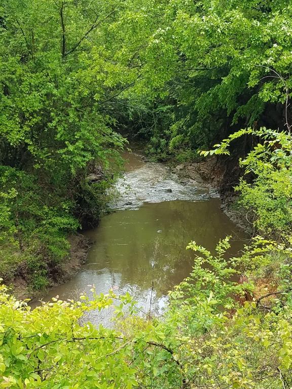 2212 Spring Hill Road Aubrey, TX 76227 - Photo 26 of 36 a view of a lake from a yard