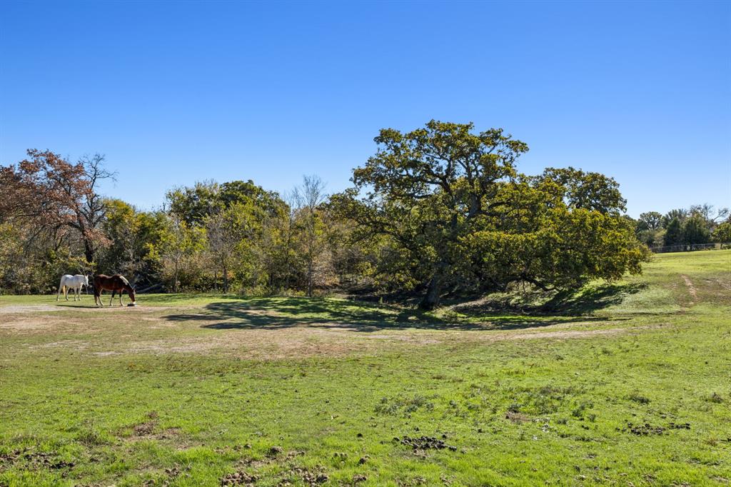 2212 Spring Hill Road Aubrey, TX 76227 - Photo 28 of 36 a view of a yard