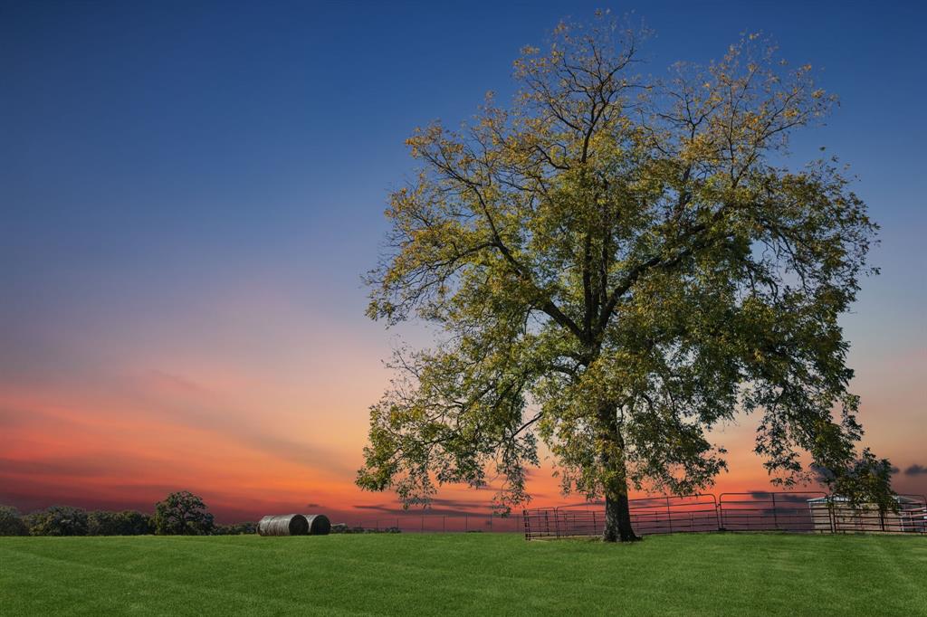 2212 Spring Hill Road Aubrey, TX 76227 - Photo 36 of 36 a view of a garden