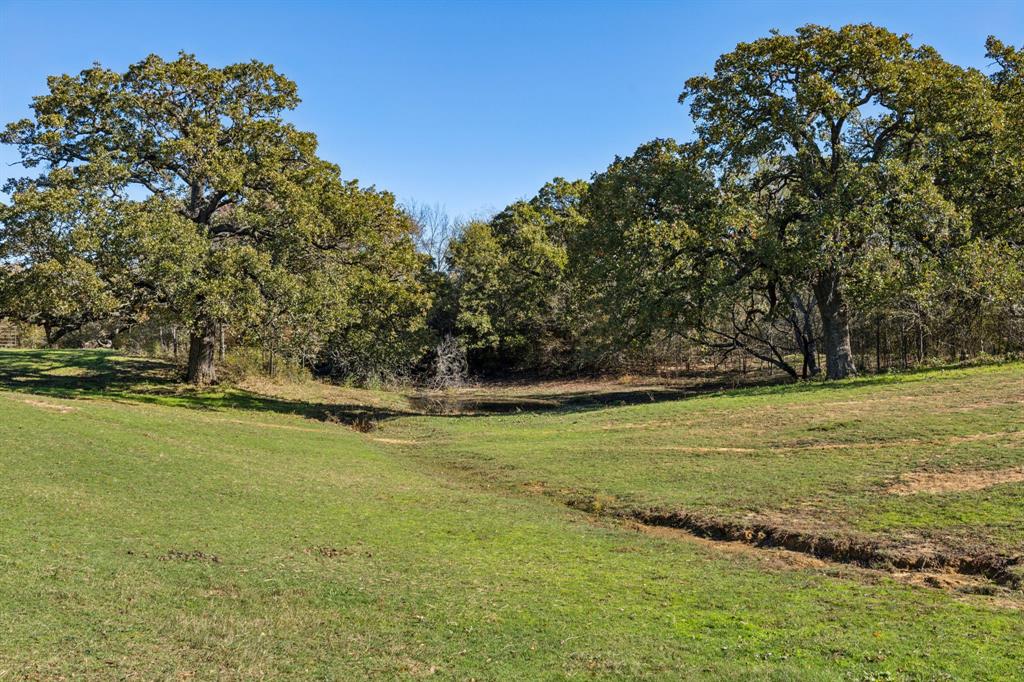 2212 Spring Hill Road Aubrey, TX 76227 - Photo 5 of 36 a view of a field with an trees