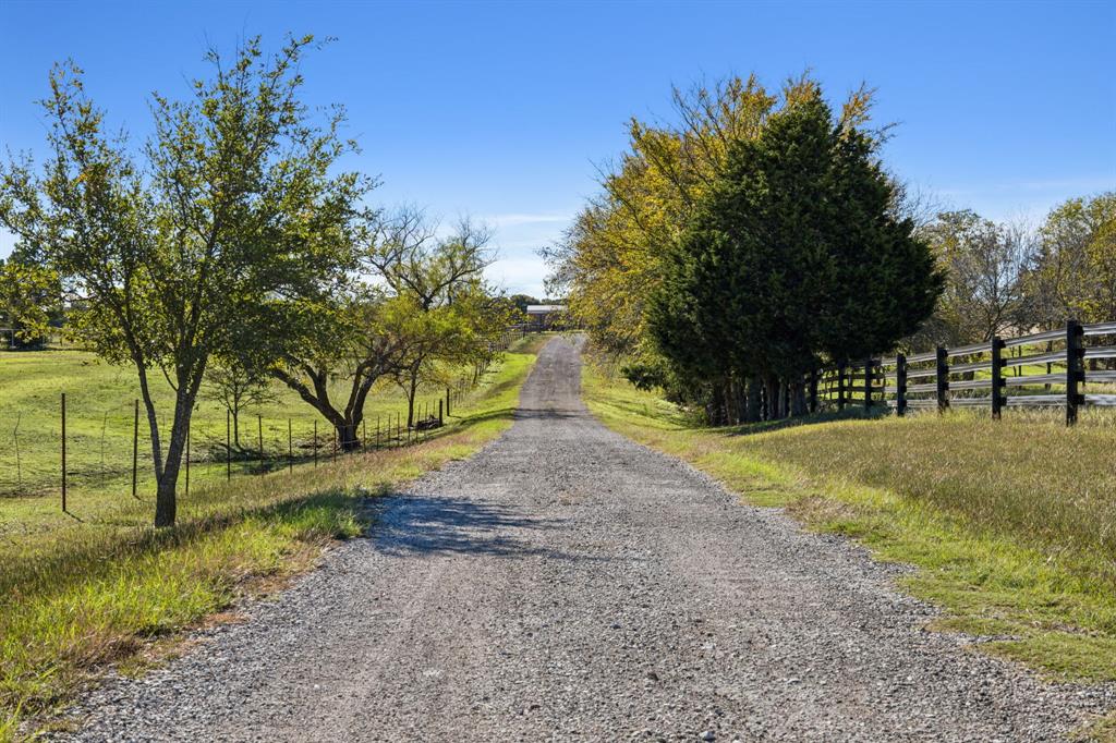 2212 Spring Hill Road Aubrey, TX 76227 - Photo 9 of 36 a view of road with tree