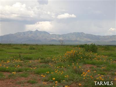 30 North Mcaffe Road Willcox, AZ 85643 - Photo 1 of 1 Gallery Image 1