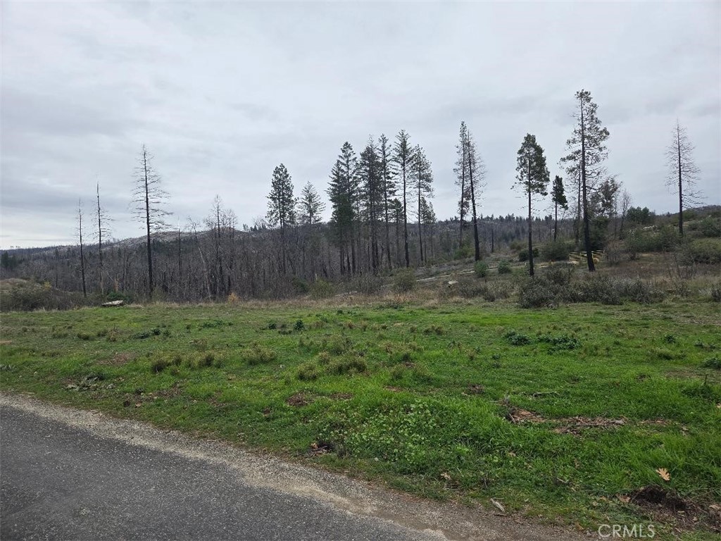 259 Rockerfeller Road Berry Creek, CA 95916 - Photo 1 of 12 Gallery Image 1