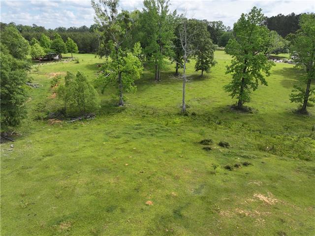 60277 Leander Lane Amite, LA 70422 - Photo 8 of 50