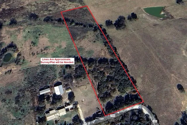 a view of a lush green space